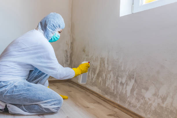 Mold Remediation specialist working in Partlow